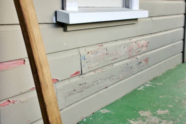Best Historical Building Siding Restoration  in Rib Mountain, WI